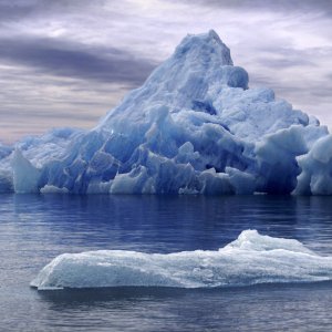 Nature Pic  1201