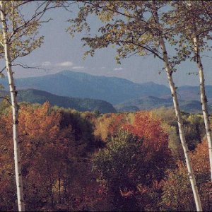 Nature Pic  359