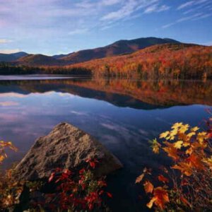 Nature Pic  1051