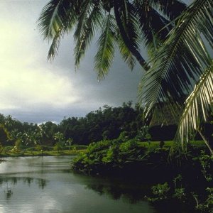 Nature Pic  1307