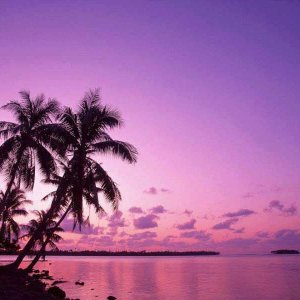 Nature Pic  526