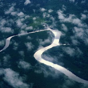 Nature Pic  1753
