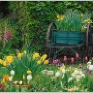 Nature Pic  2226