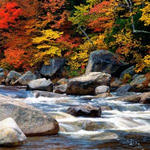 Nature Pic  2344