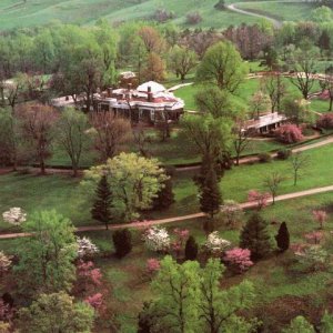 Nature Pic  1396
