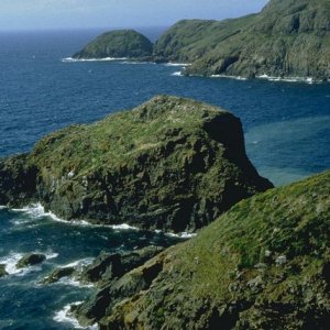 Nature Pic  1306