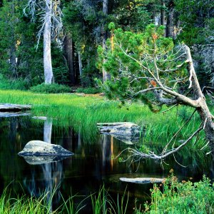 Nature Pic  2144