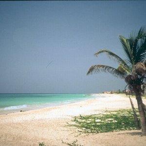 Nature Pic  200