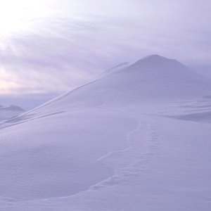 Nature Pic  2178