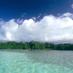 Nature Pic  1338