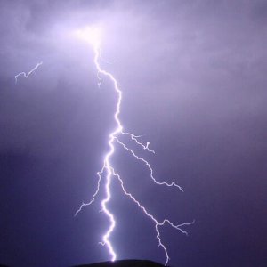 Nature Force Pic  118