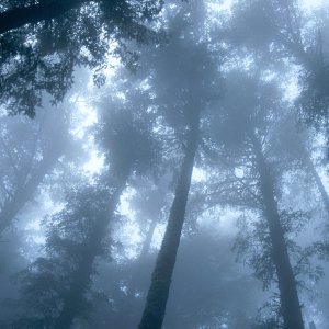 Nature Pic  557