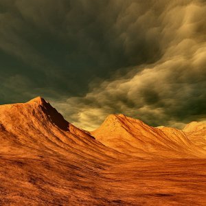 Nature Pic  716