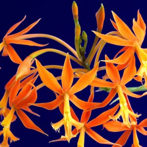 Nature Pic  2286