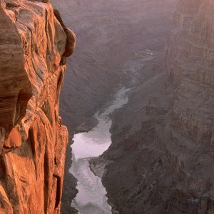 Nature Pic  1899