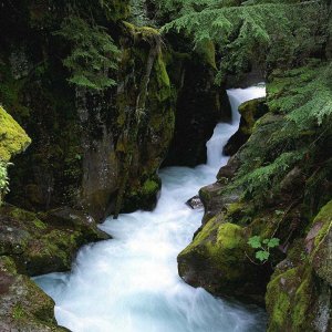 Nature Pic  1760