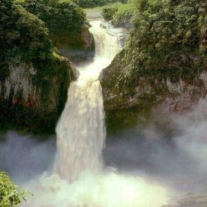 Nature Pic  1813