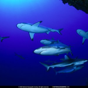 Nature Pic  1614