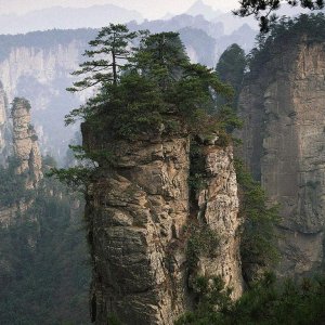 Nature Pic  1516
