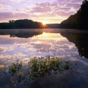 Nature Pic  2181