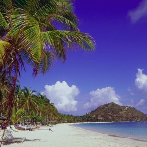 Nature Pic  2304