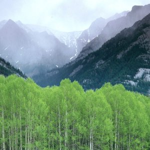 Nature Pic  1466