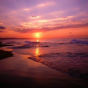 Nature Pic  1858