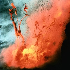 Nature Force Pic  1