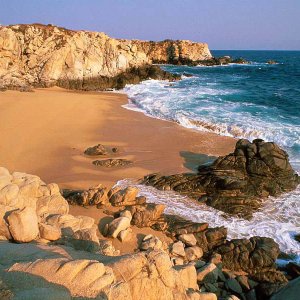 Nature Pic  1693