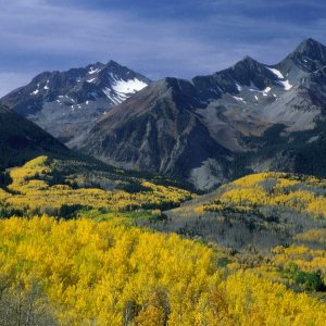 Nature Pic  2134