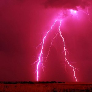 Nature Force Pic  7