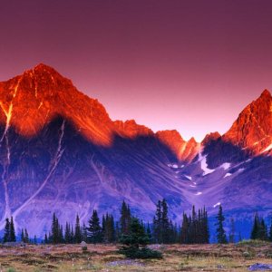 Nature Pic  98