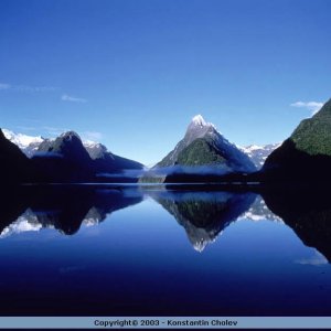 Nature Pic  981