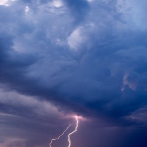 Nature Force Pic  67
