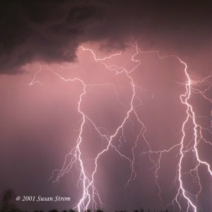 Nature Force Pic  76