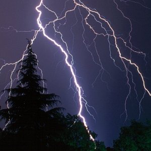 Nature Force Pic  65