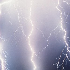 Nature Force Pic  100