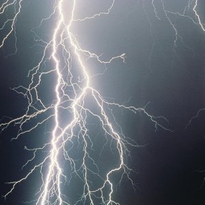 Nature Force Pic  96
