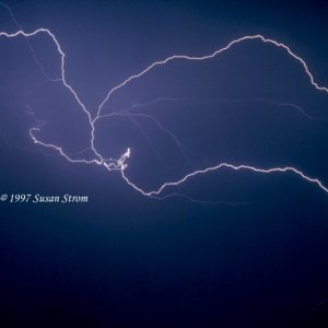 Nature Force Pic  79