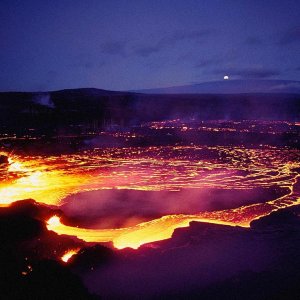 Nature Force Pic  23
