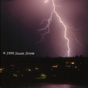 Nature Force Pic  82
