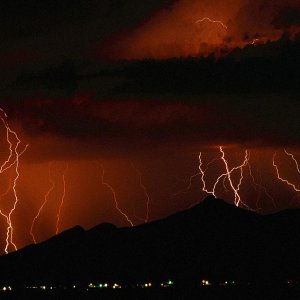 Nature Force Pic  102