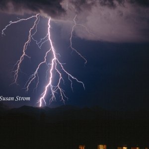Nature Force Pic  71