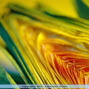 Nature Pic  1004