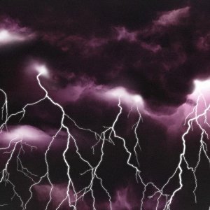 Nature Force Pic  106