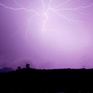 Nature Force Pic  8