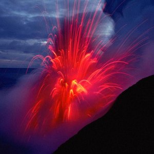 Nature Force Pic  105