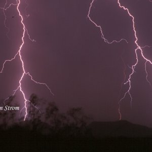 Nature Force Pic  77