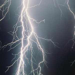 Nature Force Pic  66