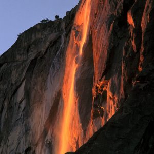Nature Pic  1007